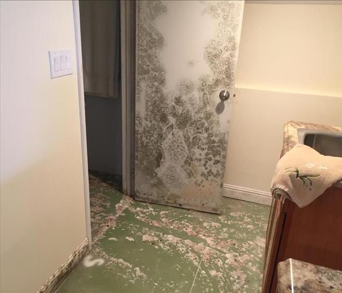 Inside of a home bathroom with mold covering the door and floor
